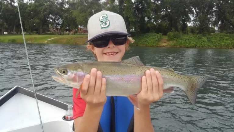 Rainbow Trout - Steelhead - Fly Fishing - Matt Dover Fly Fishing - Redding California