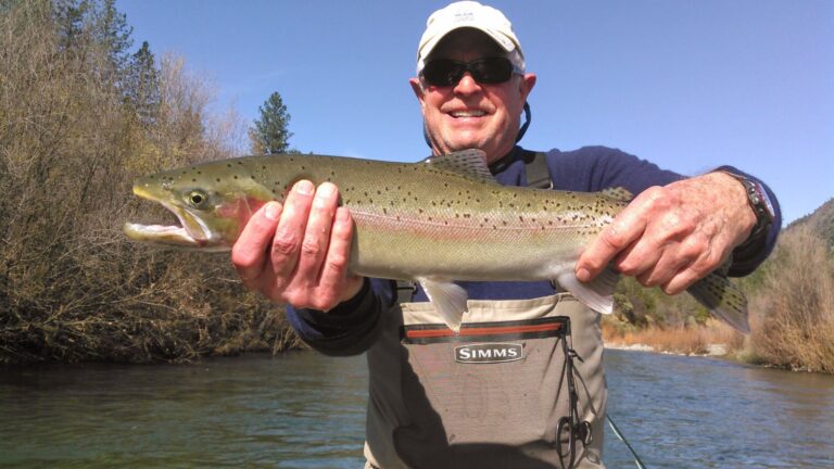 Rainbow Trout - Steelhead - Fly Fishing - Matt Dover Fly Fishing - Redding California