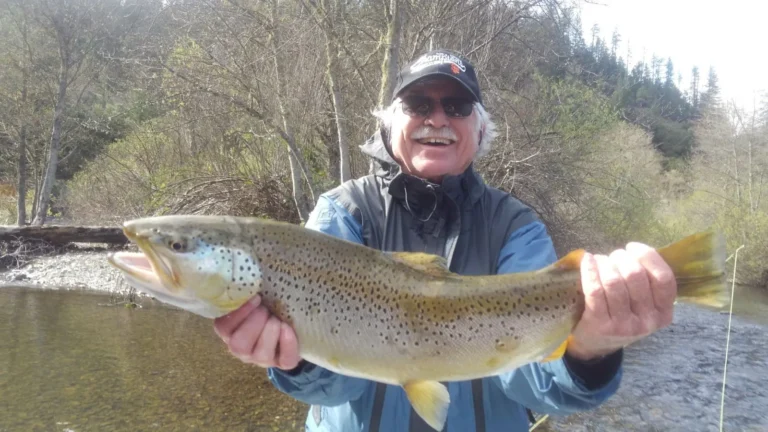Brown Trout - Trinity River - Matt Dover Fly Fishing
