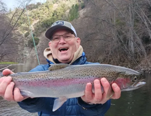 Matt Dover Guided Fly Fishing